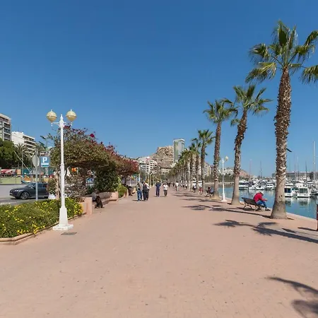 Fidalsa Urban Chic Alicante
